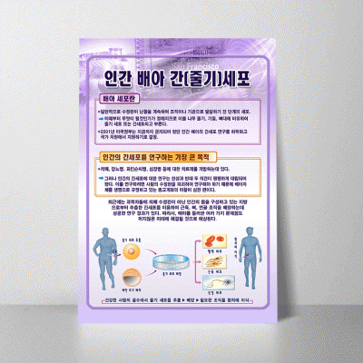 A103.인간배아간(줄기)세포