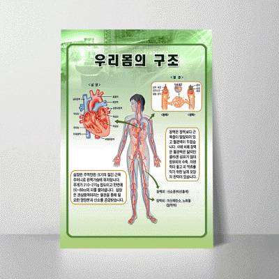 A132.우리몸의구조