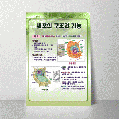 A141.세포의구조와기능