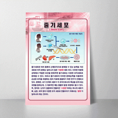 A143.줄기세포