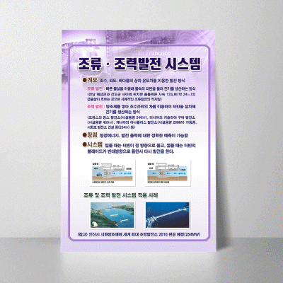 A188.조류조력발전시스템