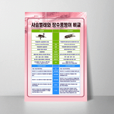 A199.사슴벌레와장수풍뎅이비교