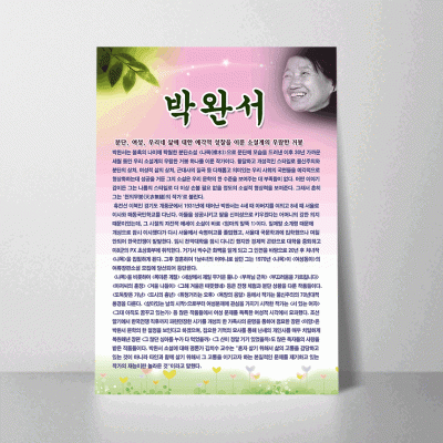 C56.박완서