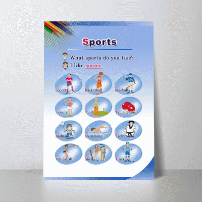 D47.스포츠