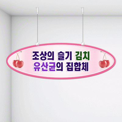 천정행거B02-14