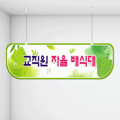 천정행거B06-1