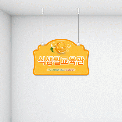천정행거B19