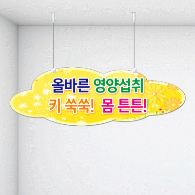 천정행거B28