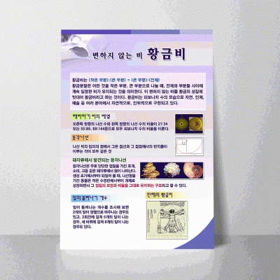 L16.황금비