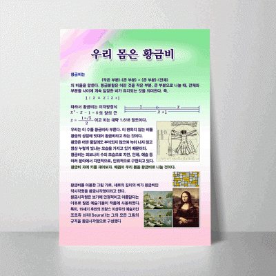 L18.우리몸은황금비