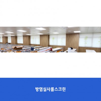 고양초1