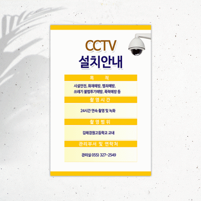 CCTV-4-8
