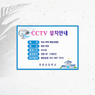 CCTV-19