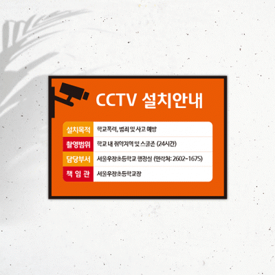 CCTV-1-1