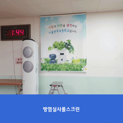 서울면목초5-롤스크린