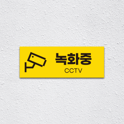 (기성)CCTV-10
