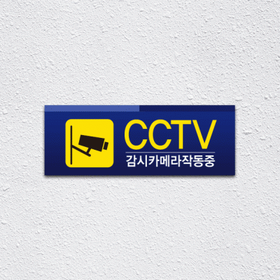 (기성)CCTV-30-1