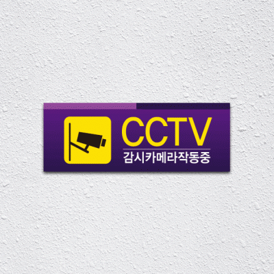 (기성)CCTV-30-3